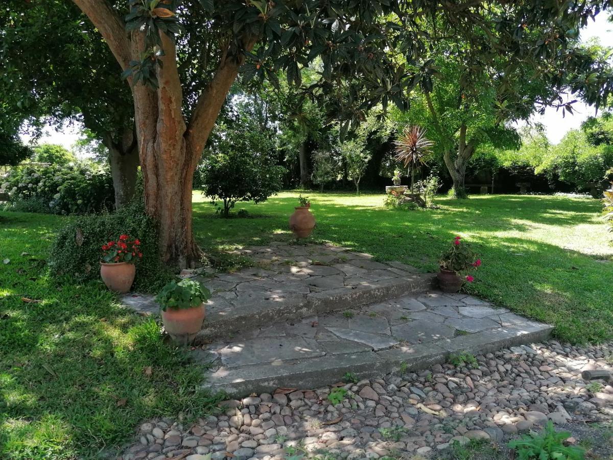 فندق Quinta Da Torre Alpiarça المظهر الخارجي الصورة