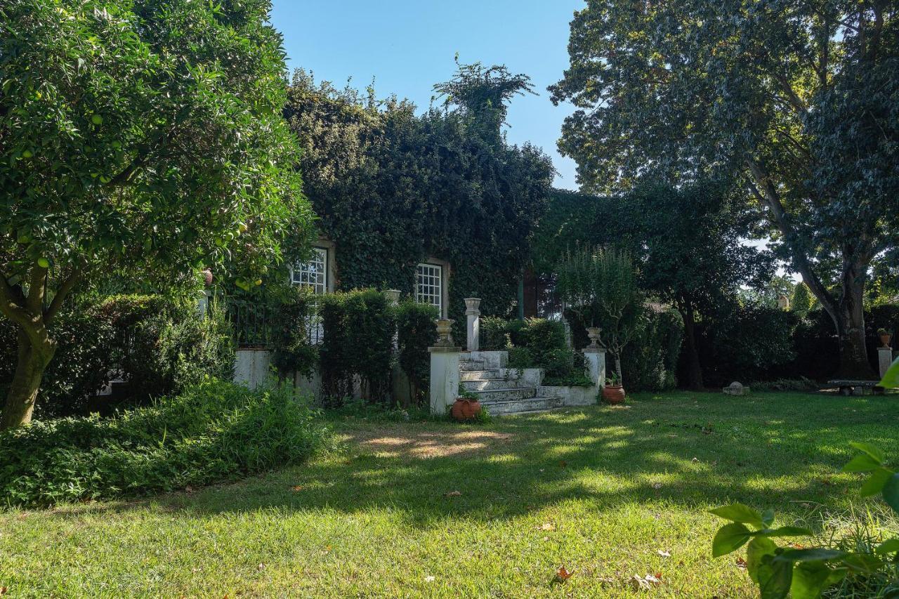فندق Quinta Da Torre Alpiarça المظهر الخارجي الصورة