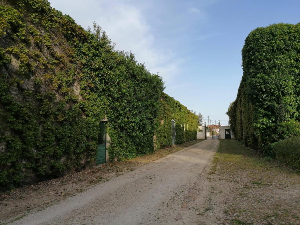 فندق Quinta Da Torre Alpiarça المظهر الخارجي الصورة
