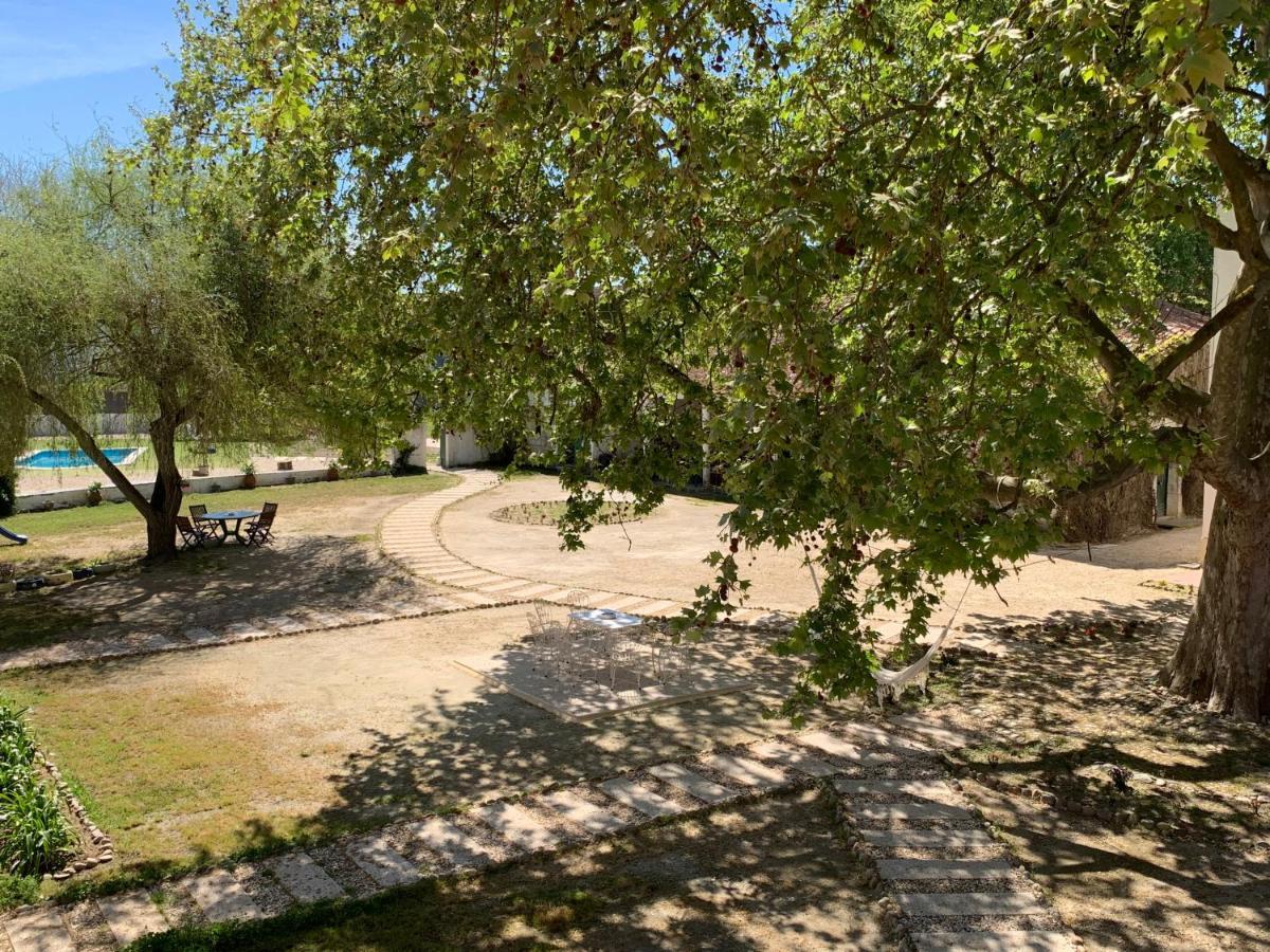 فندق Quinta Da Torre Alpiarça المظهر الخارجي الصورة