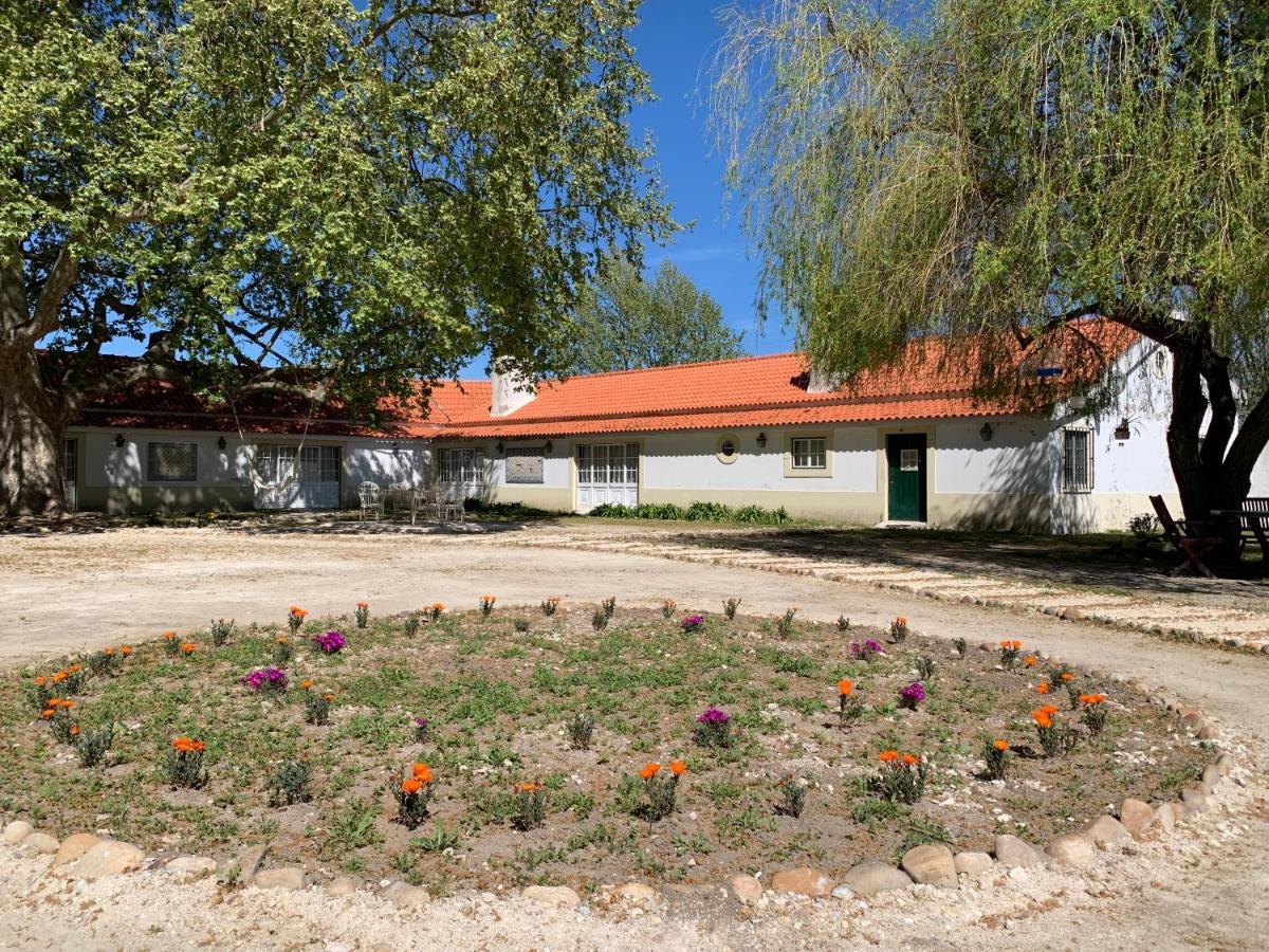 فندق Quinta Da Torre Alpiarça المظهر الخارجي الصورة