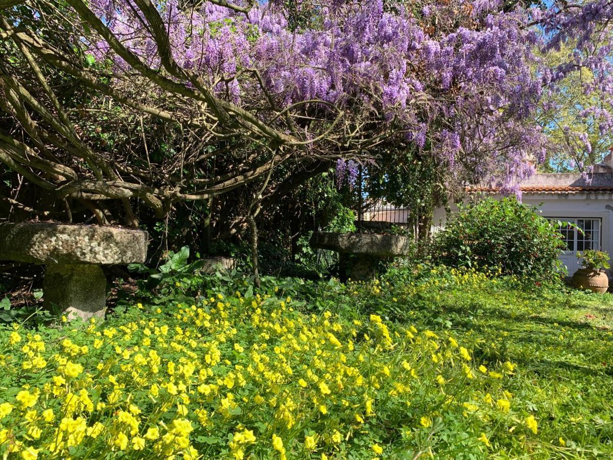 فندق Quinta Da Torre Alpiarça المظهر الخارجي الصورة